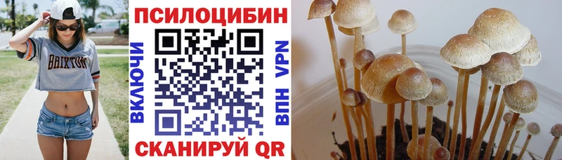 Псилоцибиновые грибы Psilocybine cubensis МЕГА сайт Михайловка